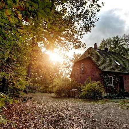 Forsthaus - Gut Thansen Soderstorf Екстер'єр фото